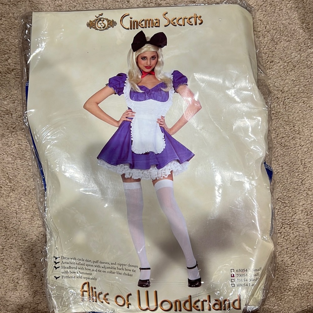 Alice of Wonderland Costume